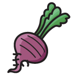 Beetroot